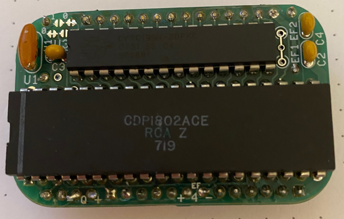 Member Chip Card Back Member Chip Card Back