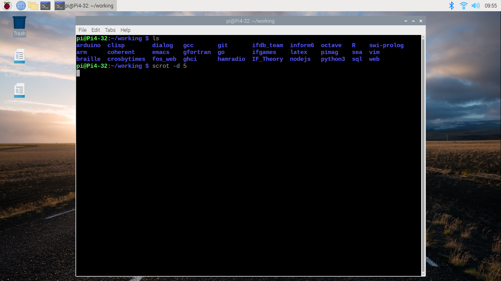 Image of Raspi OS Desktop Image of Raspi OS Desktop